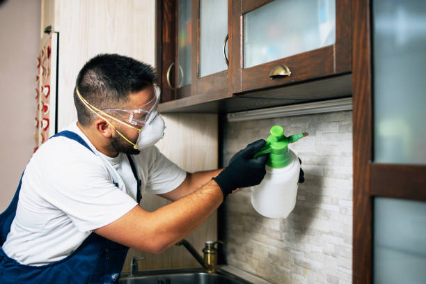 Best Pest Prevention Services  in , NY