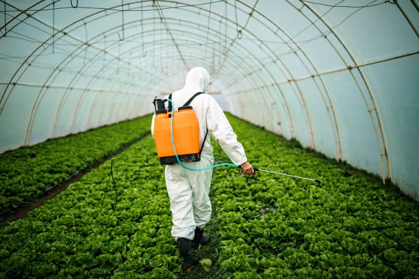 Best Affordable Pest Control Services  in , NY