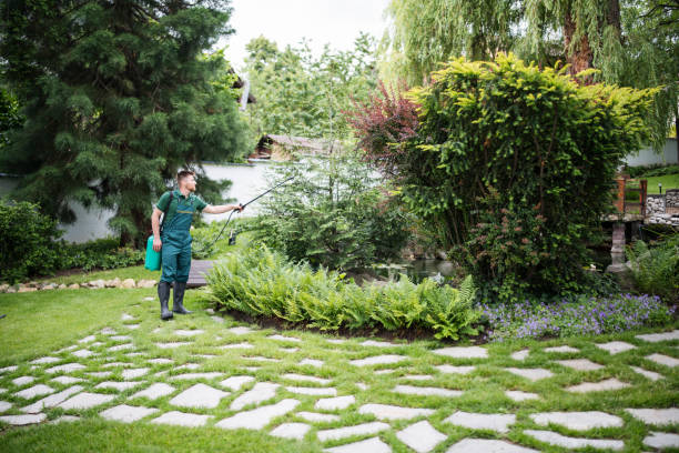 Best Ant Control Services  in , NY