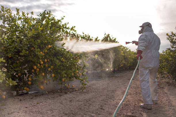 Best Residential Pest Control  in , NY